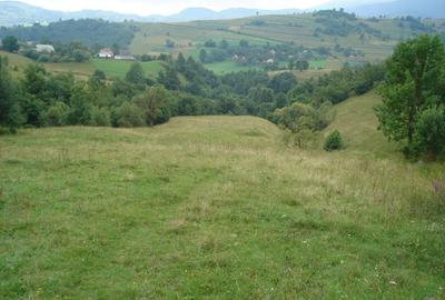 Teren de 25500 mp, în Vișagu - 4