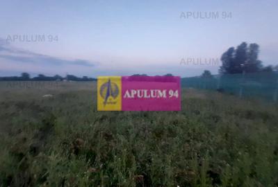 Teren Construcții intravilan de 3820 mp, în 1 Decembrie - 19