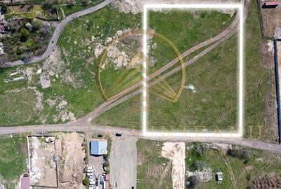 Palas /Vaporaș / Dacia - Renault - Teren intravilan 4100 mp cu deschidere 41 ml. - 5