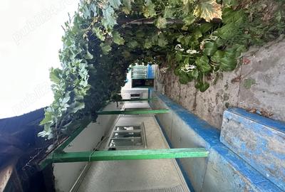 Vand casa batraneasca Vand casa batraneasca - 1