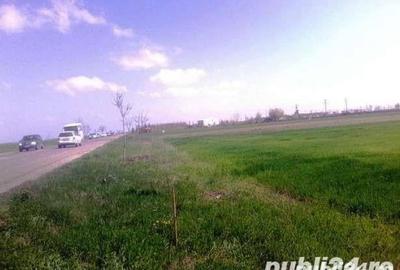 Teren de 2500 mp, în Ghimpați - 4