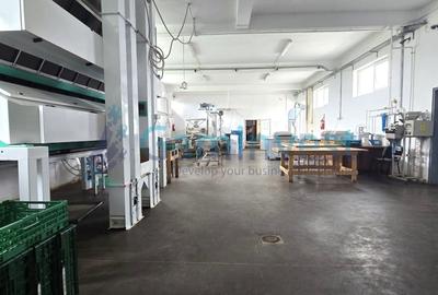 Spațiu industrial, de 560 mp, în Apateu - 2