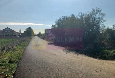 Teren de 6293 mp, în Săbăreni - 1