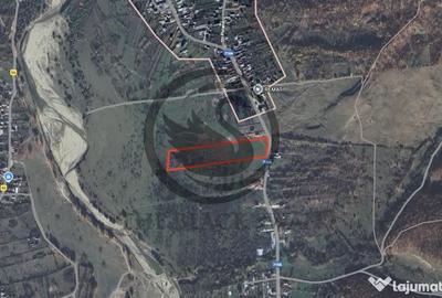 Teren de 26908 mp, în Iedera - 1
