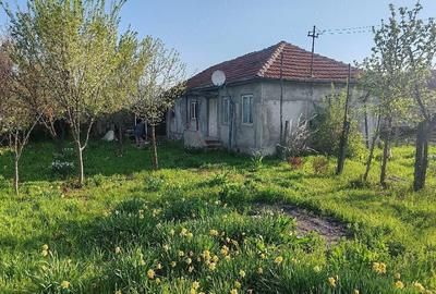 Casă cu Teren 5000 Mp în Unguriu - 5