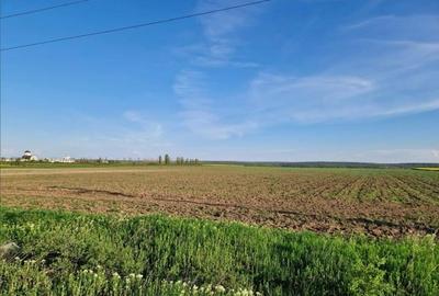 Teren in suprafata de 54000 mp- Sat Branistari, Comuna Calugareni - 2