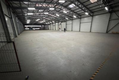 Inchiriere hale industriale, 1650 mp sau mai putin, autorizatie ISU - 9