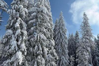 Vila S+P+2E Predeal Ideal Investitie - 1