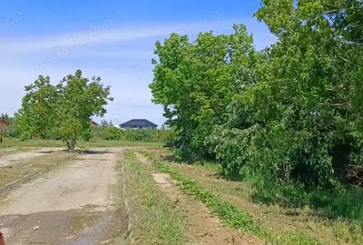 Teren de 5000 mp, în Tărtășești