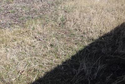 Casă cu 3 camere în Păduroiu din Vale - 8