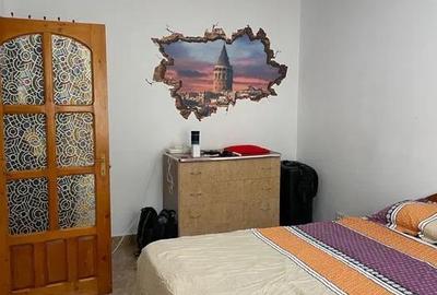 Apartament cu 2 camere decomandat, mobilat în Podu Roș - 2