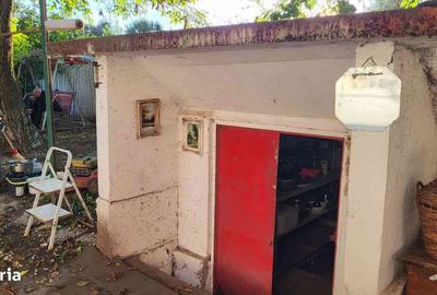 Casă cu 3 camere în Pestișu Mic - 4
