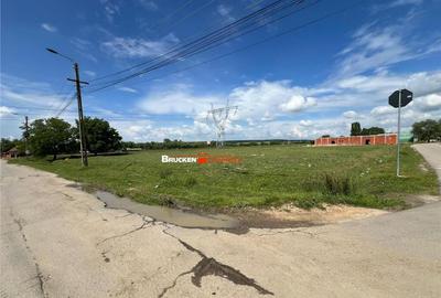 Teren intravilan deosebit de in Marghita - 5