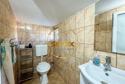 De vanzare ferma Calarasi in stare de conservare - sere - livada - 32