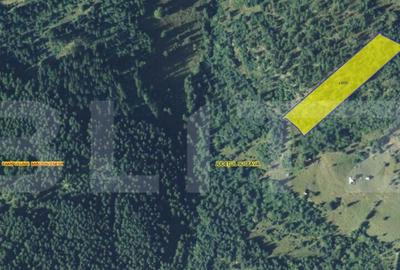 Teren 11.144 mp - Campulug Moldovenesc - 3