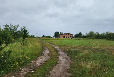 Teren Construcții extravilan de 1000 mp, în Giroc - 4
