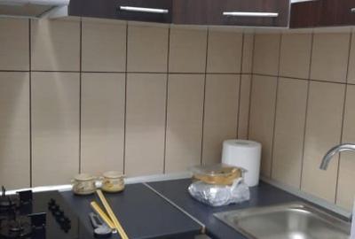 Apartament cu 2 camere semidecomandat, mobilat în Brazda lui Novac - 4