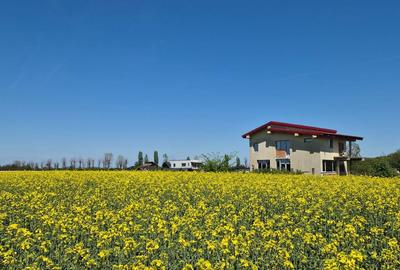 Teren de 5000 mp, în Ciolpani - 2