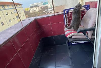 Apartament cu 3 camere decomandat în Torontalului - 2