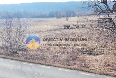 Teren Construcții intravilan de 3035 mp, în Bodești - 6