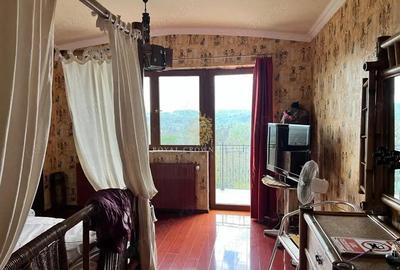 Casa de Vacanta cu piscina si sala fitness | Cornu de Jos - 13