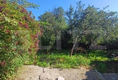 Casa renovabila, 2 camere, zona Cetate - 18