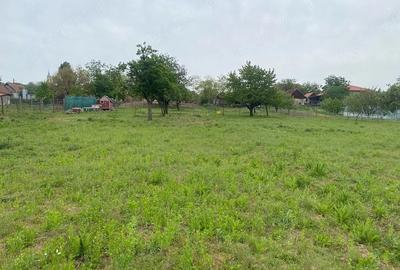 Teren de 4596 mp, în Cetariu - 4