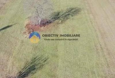 TEREN intravilan 4488 mp - PANGARA?I - 10