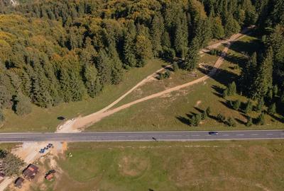 Teren Construcții intravilan de 10440 mp, în Drumul Poienii - 7