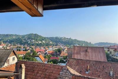 Studio deschis si la regim hotelier, priveliste frumoasa, pet friendly, loc parc - 2