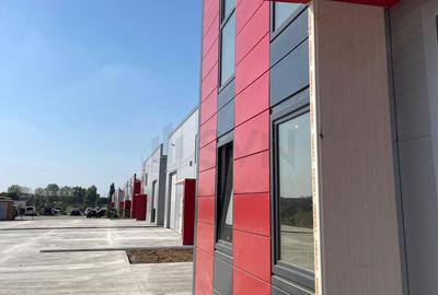 Hale depozitare de in zona de Nord Chitila Hale depozitare de in zona de Nord Chitila - 5