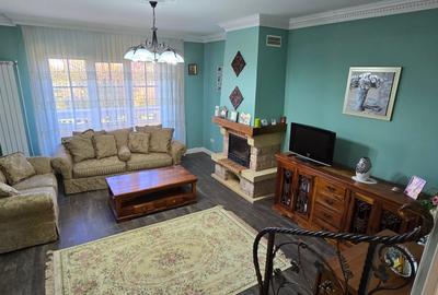 VILA LUX DE VANZARE -PANCIU-STRAOANE - 8