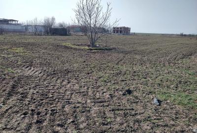 Teren de 5000 mp, în Frumușani - 15