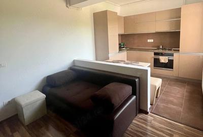 Apartament cu 2 camere semidecomandat în Bucureștii Noi - 5