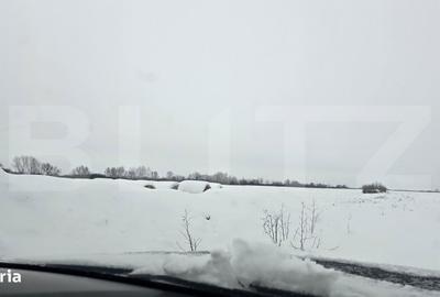 Teren de 41000 mp, în Giroc