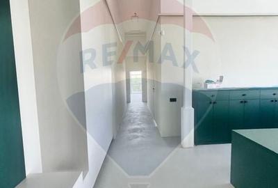 Spatiu comercial de 520mp de vanzare in zona Colentina - 10