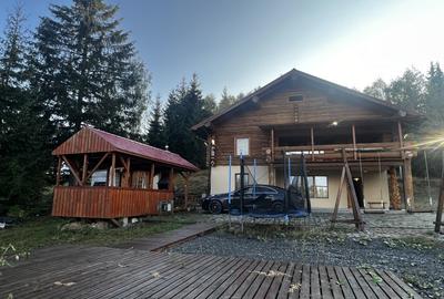 Cabana din Busteni, 320 mp utili, 1500 mp de teren, zona Belis - 2