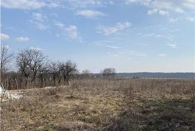 Teren Construcții intravilan de 4200 mp, în Apateu