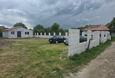 Casă cu 2 camere în Mihai Viteazu