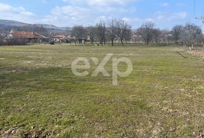 Teren Construcții intravilan de 3392 mp, în Călinești - 3