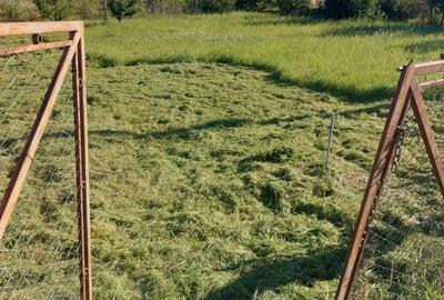 Vând teren cu PUZ 1000 mp Mihai Românul - 2