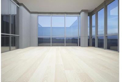 Spațiu comercial, de 1,810 mp, în 1 Decembrie