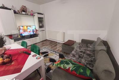 Apartament cu 2 camere semidecomandat, mobilat în Apahida - 10