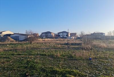 Anunturi vanzari terenuri in Palazu Mare