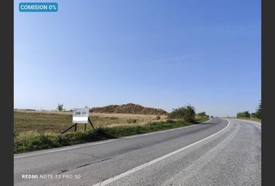 Teren agricol 2500 mp, Cocorăștii Colț - 1