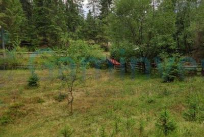 Teren de 2220 mp, în Arieșeni - 8