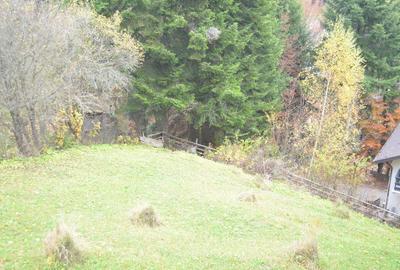 Teren de 1300 mp, în Valea Alba - 3