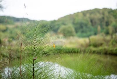 Teren intravilan de vis in Mun?ii Apuseni, curent + izv... - 3