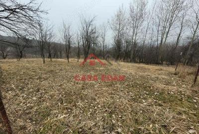 Teren intravilan in Breaza,1358 mp, 40.000e - 9