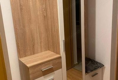 Apartament cu 2 camere decomandat în Urziceni - 3
